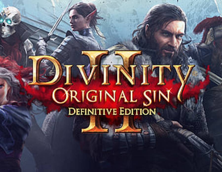 divinity_original_sin_2.jpg
