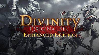 divinity_original_sin_enhanced_edition.jpg