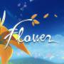 flower.jpg