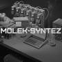 moleksyntez.jpg