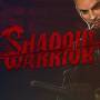 shadow_warrior_2013_directx_11_version.jpg