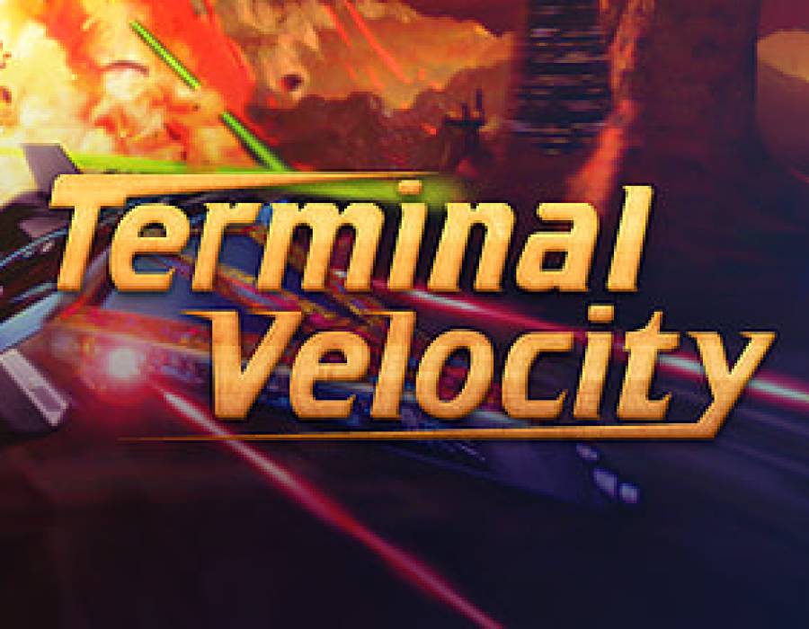 terminal_velocity.jpg