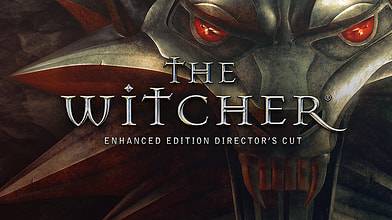 the_witcher.jpg