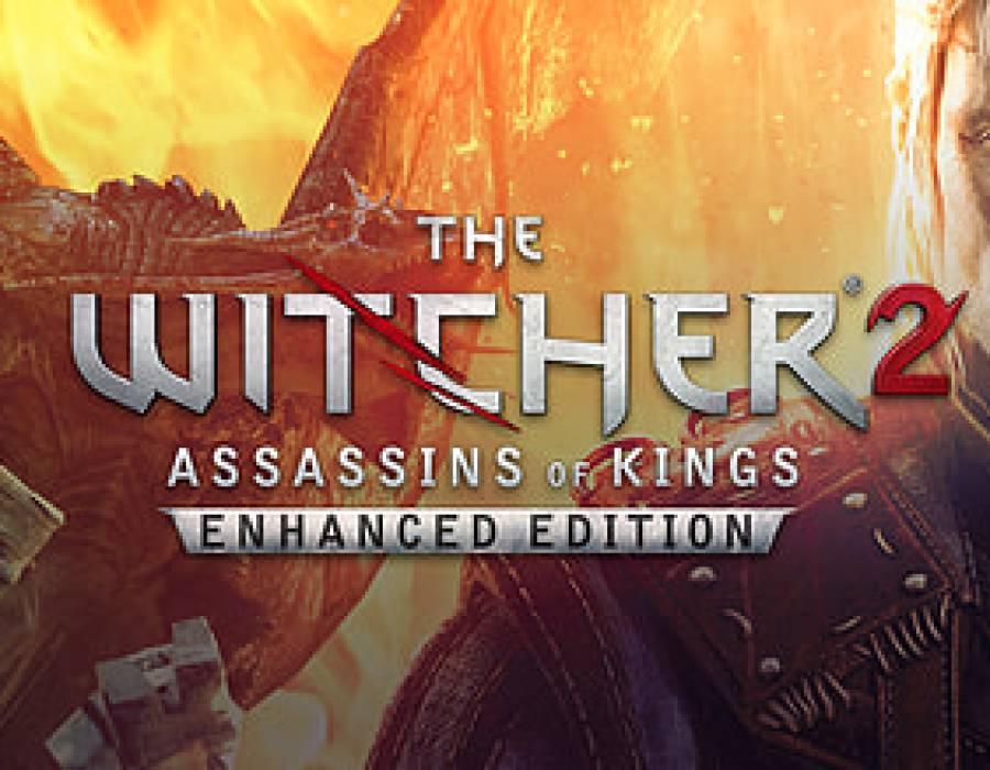the_witcher_2.jpg